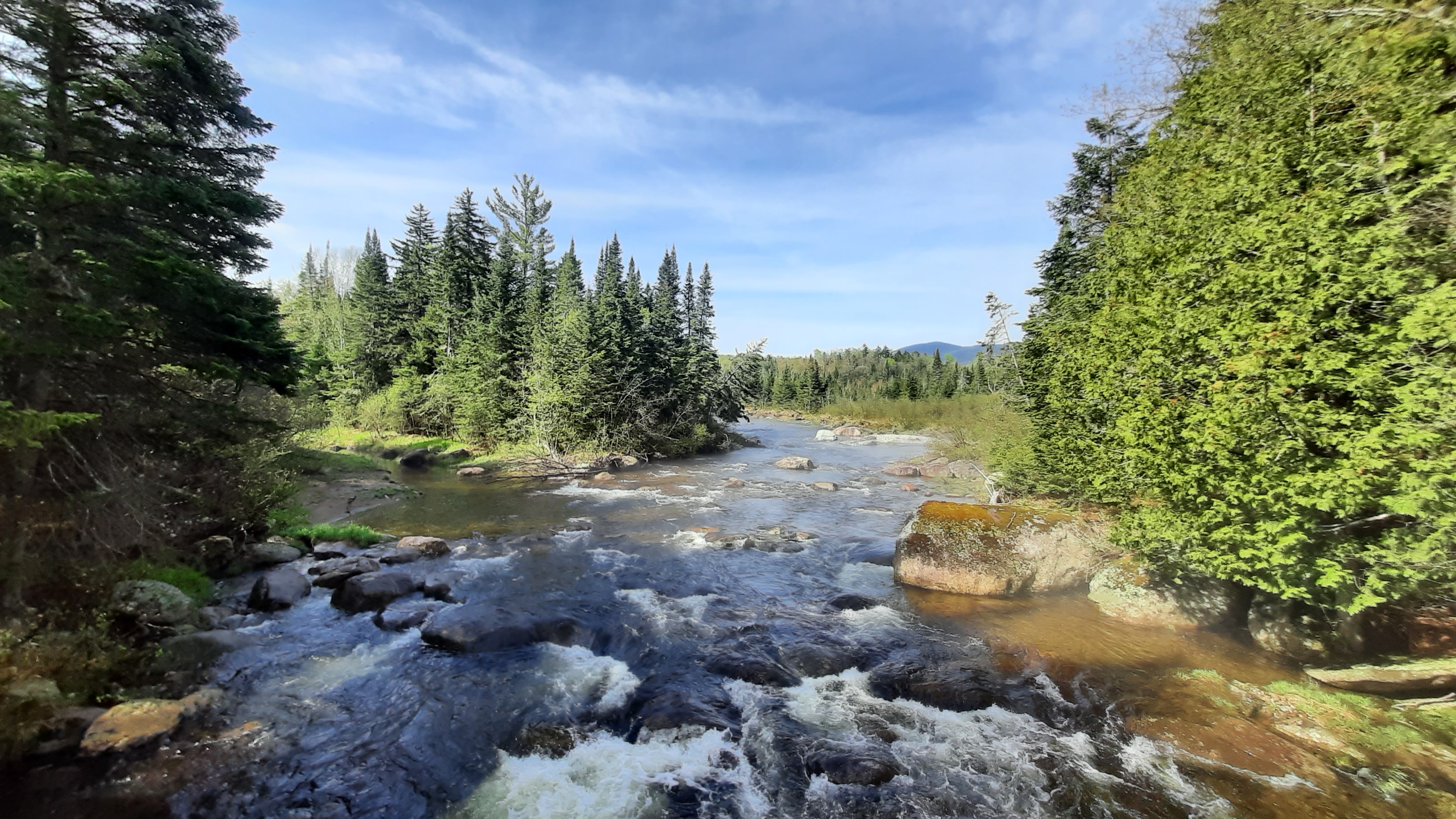 An Adirondack stream surrounded by trees